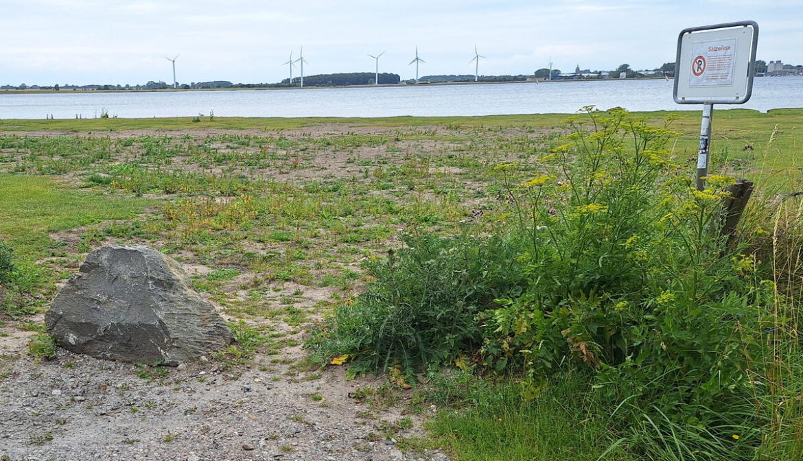 Großer Stein blockiert die Zufahrt zu einer Wiese am Wasser, daneben ein Verbotsschild mit Hinweis auf Naturschutz, im Hintergrund Windräder und Wasserfläche.