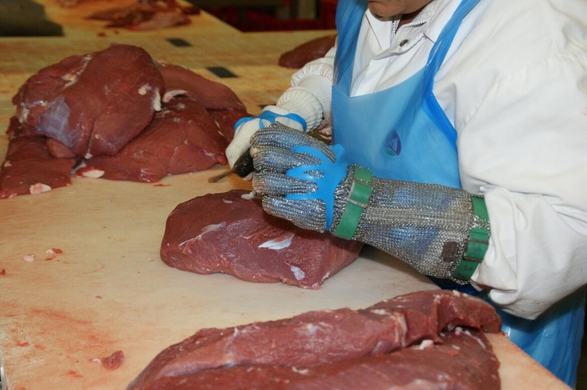 Mitarbeiter in Schutzkleidung zerlegt rohes Rindfleisch in einem industriellen Fleischverarbeitungsbetrieb.